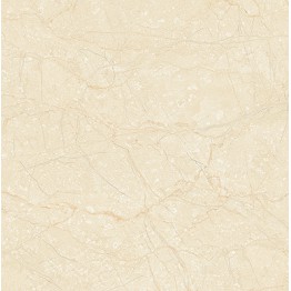 Gạch lát 50x50 Prime Digit 13.500500.09363